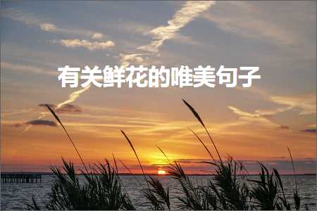 描写盛夏清晨的句子唯美（文案652条）